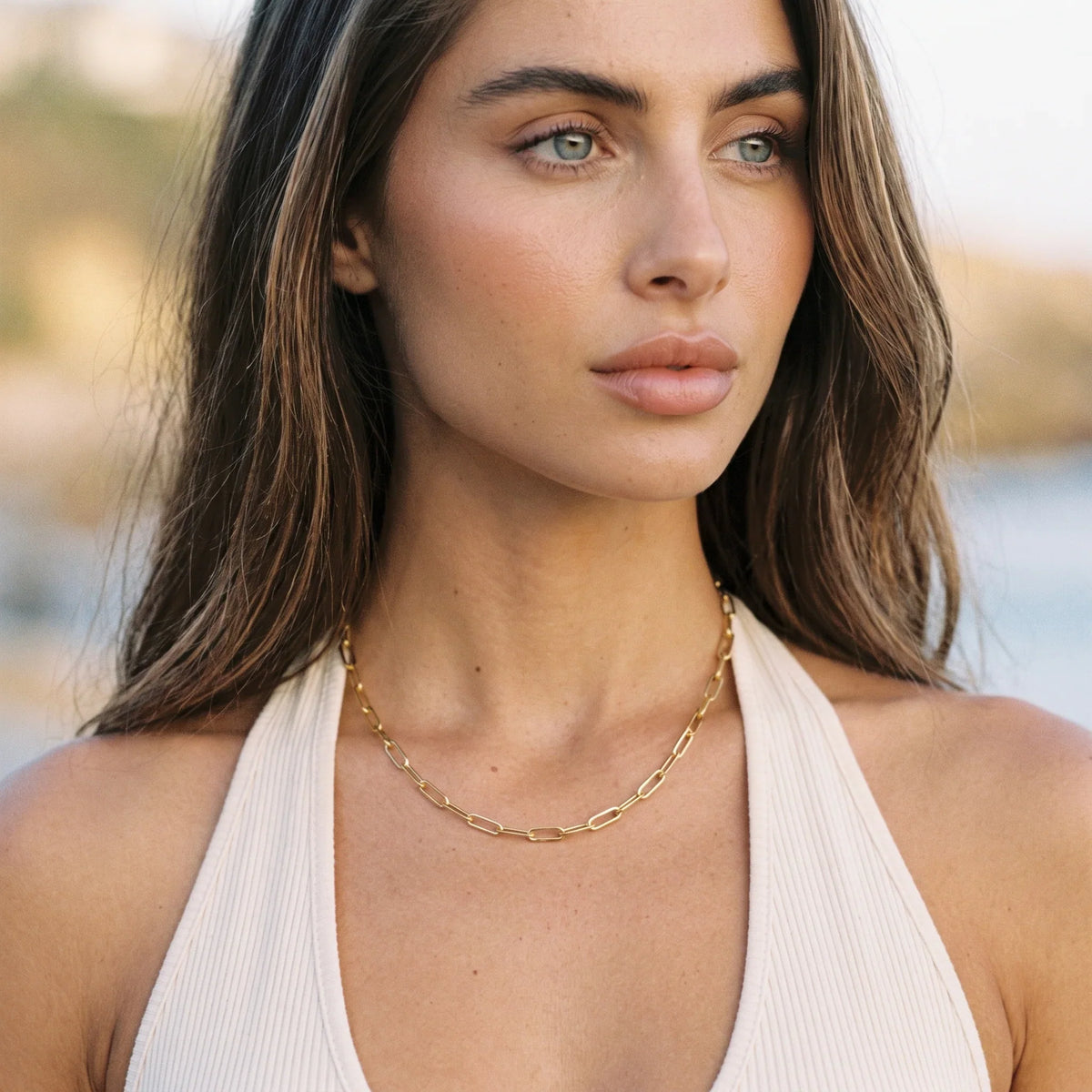 Aurelia Paperclip Chain Set